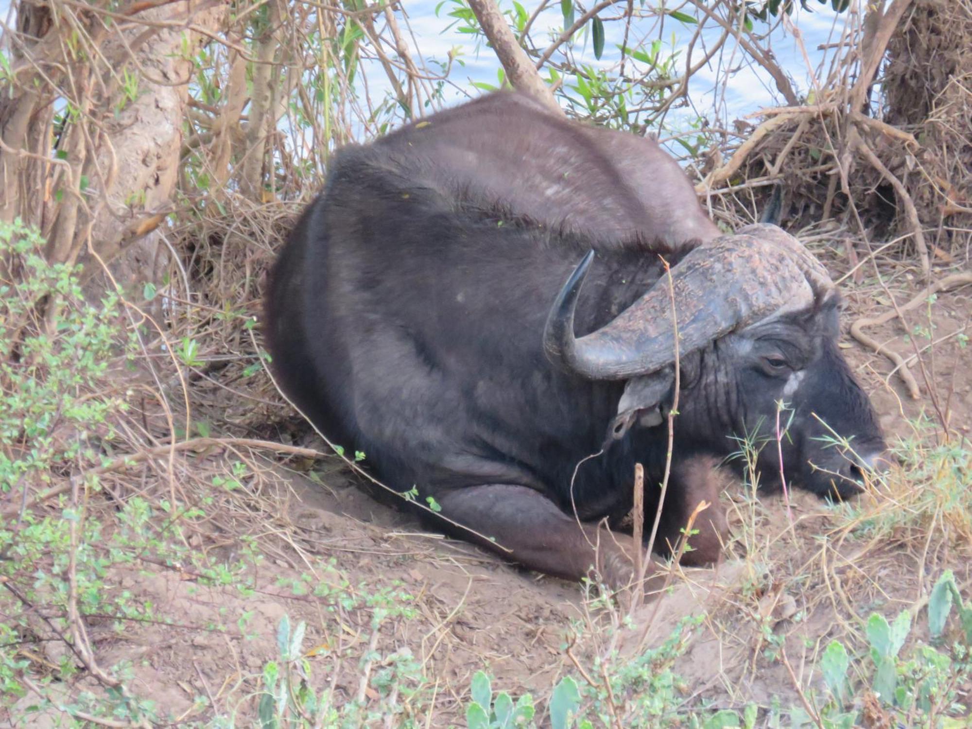 Riverview Inn Malalane Luaran gambar