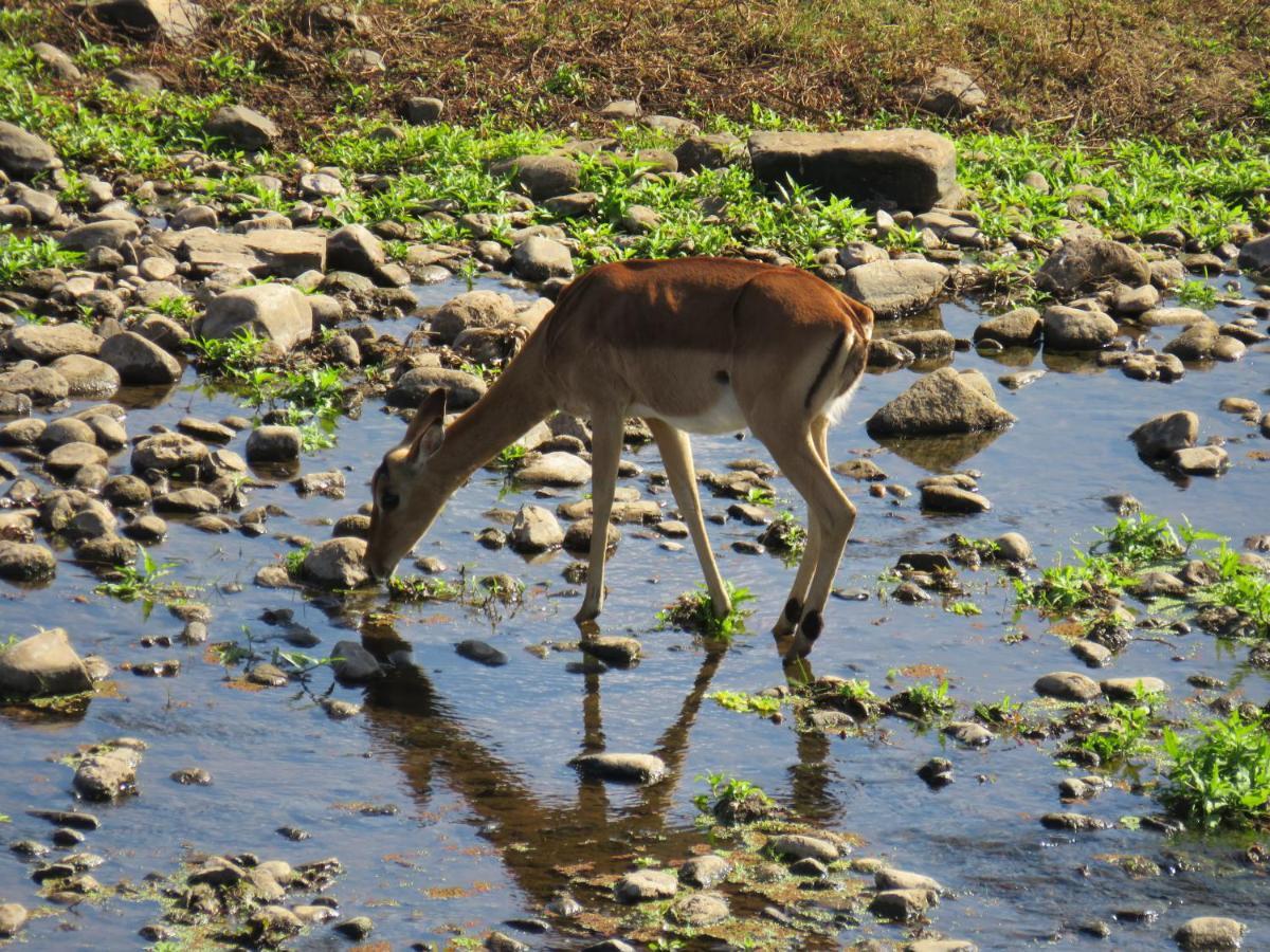 Riverview Inn Malalane Luaran gambar