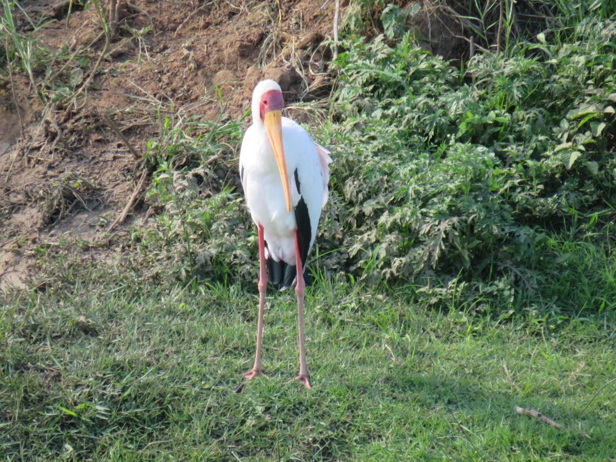 Riverview Inn Malalane Luaran gambar